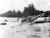 1898 Flood at first Criterion Bridge, Paeroa